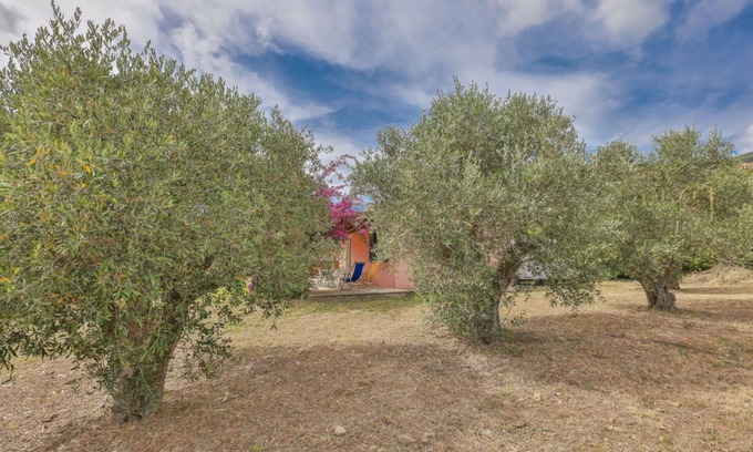 Lacona Villa | Villino Lampone with sea view, immersed in a garden of olive trees