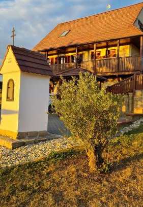 Skalica House | Vinárstvo u Kohúta