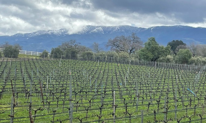Santa Ynez House | Vineyard Home for the Art Lover