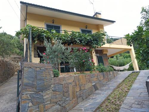 Barro House | Vineyards Valley House