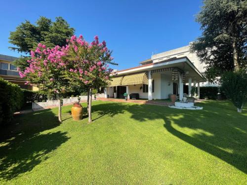 Borgo Roma House | Vitti's Home Verona