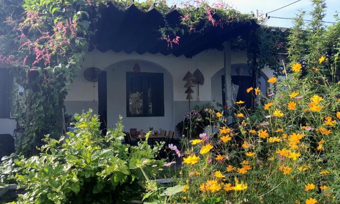 Dien Ban House | Vom Vom Garden House