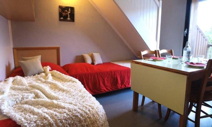 Saint-Jacques-des-Blats Apartment | VVF Le Lioran Les Monts du Cantal *** - 2 Rooms 4 People 1 baby