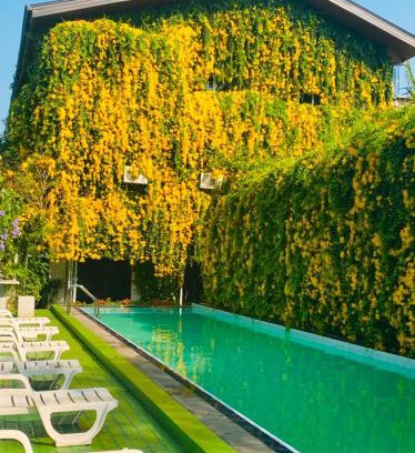 New Town Hotel | Waasala Eco Luxury Heaven