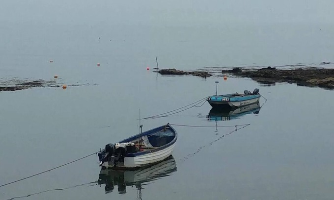 Stonehaven Bed & Breakfast | Wagtail Lodge Boutique Country House B&B, Stonehaven