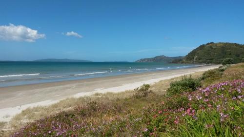 Matarangi Bed & Breakfast | Waimaire Matarangi
