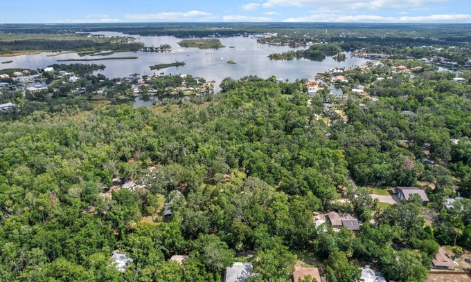 Crystal River House | Wake up above the trees-just minutes from the water!