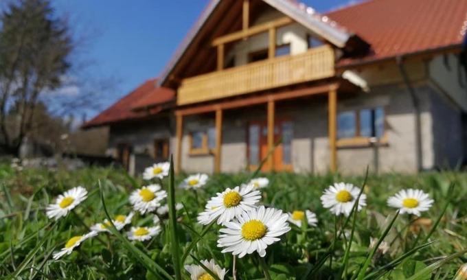 Kruft Apartment | Wandertraum Johann - FeWo Eifel