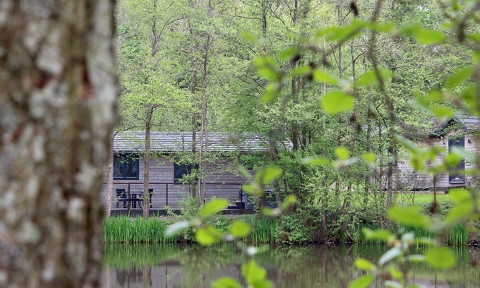 Pevensey Cabin | Warren wood Country Park