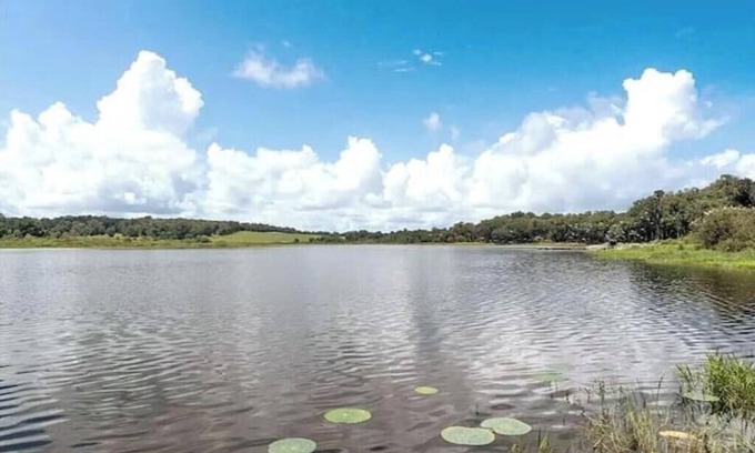 Dade City House | Water's Edge - a lakefront oasis. 10 peaceful, private acres w' stunning views.