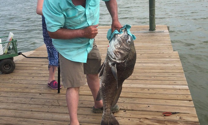 Port Lavaca Cabin | Waterfront Cabin with Amazing Private Fishing Pier and 6 Acres on the bay