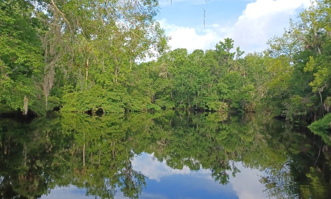 Perry Cottage | Waterfront Cottage on the scenic Aucilla River.