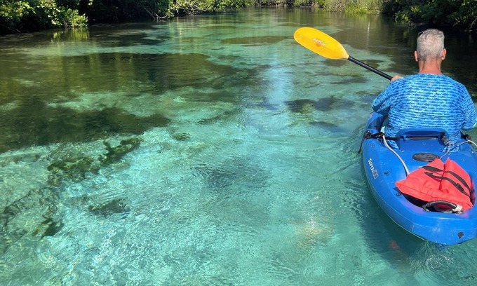 Weeki Wachee Gardens House | Waterfront: Jacuzzi, SUP, Kayaks, Big H2O Mat, Fun Room, Ping Pong, Dock & Canoe