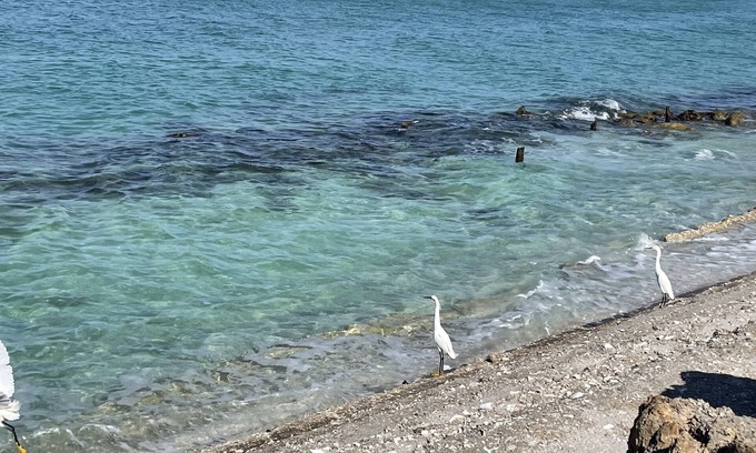 Nokomis House | Waterfront! The perfect beach bungalow, built for relaxation