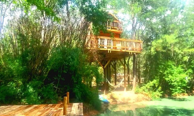 Waller House | Waterfront Treehouse In A Magical Forest!