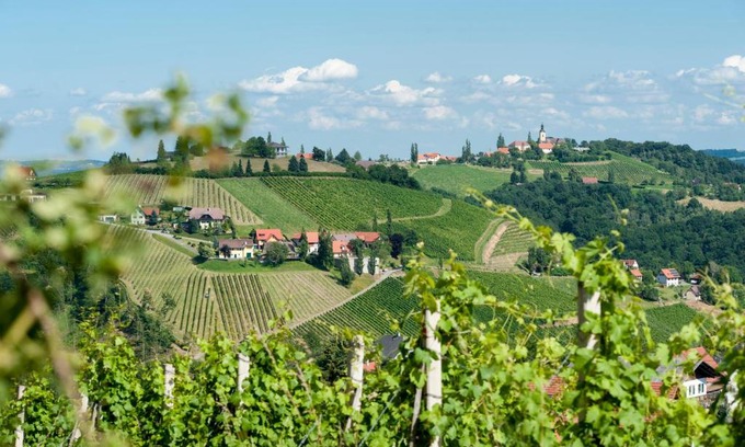 Kitzeck im Sausal House | Weingut Schauer