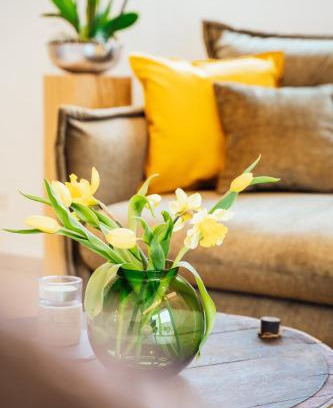 Wehlen Apartment | Weinrebe