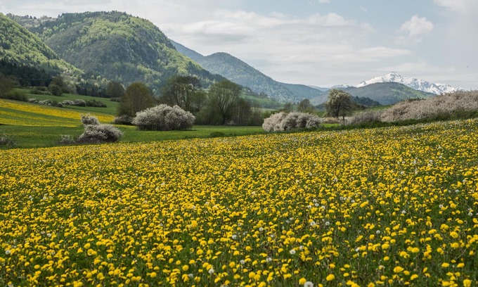 Roquefeuil Cottage | Welcome to Léontine 5 minutes from Lake Belcaire with its many activities