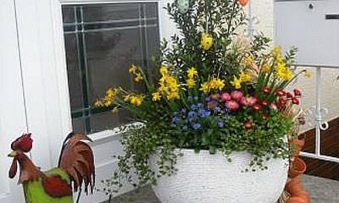 Valwig Apartment | Welcome to the holiday paradise Haus Kotthoff - pure relaxation!