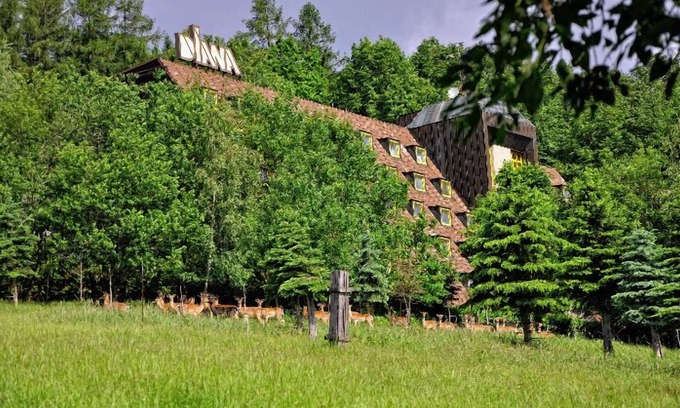 Velke Losiny Hotel | Wellness hotel Diana