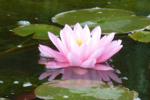 Bad Duerkheim Hotel | Wellness- und Gartenhotel Heusser