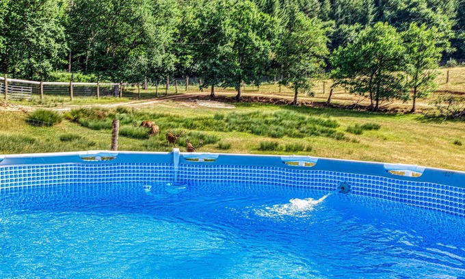 Gages House | While swimming in the garden pool, watch the animals in the adjacent wildlife enclosure.