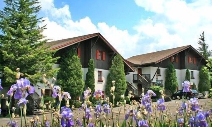 Snowshoe Condo | Whistlepunk 40 Bavaria`s Finest-1 bedroom with loft, Slope Side