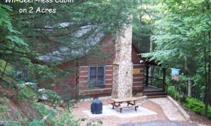 Lansing Cabin | Wil-deer-ness Cabin- Secluded-Firepit-Hot Tub-WiFi-Dog Friendly