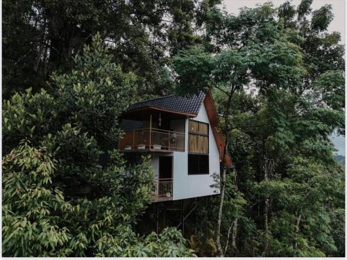 Kunchithanny Resort | Wild Stories by Bestinn Leisure - Munnar