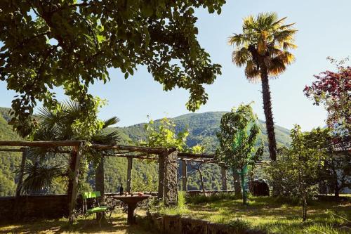 Isorno Apartment | Wild Valley Village Life Apartment in Onsernone