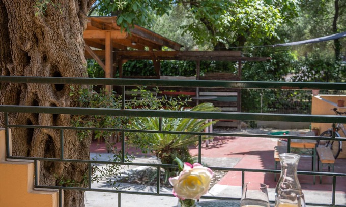 Ipsos Hotel | Wilde Rose Hotel