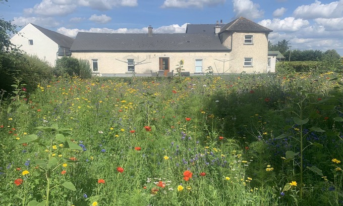 South Tipperary Cottage | Wildflower Farm Cottage