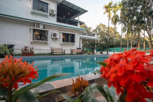 Awas House | Wildwood Retreat - Awas Beach