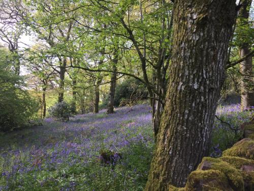 Thornhill House | Willow Cottage, Gilchristland Organic Farm