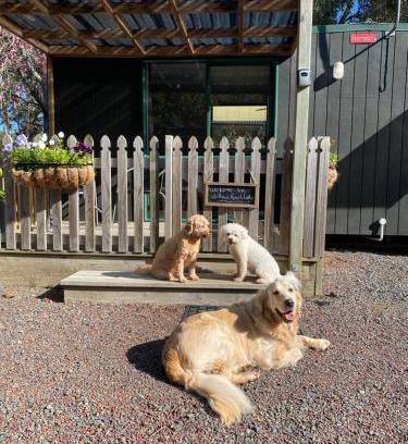 Kumeu Cabin | Willows Reach Lodge