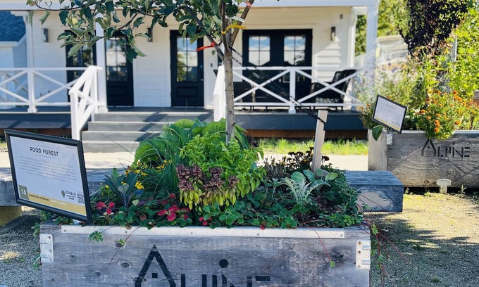 McMinnville House | Wine Country Gem in downtown McMinnville. Walk to Wineries & Restaurants!