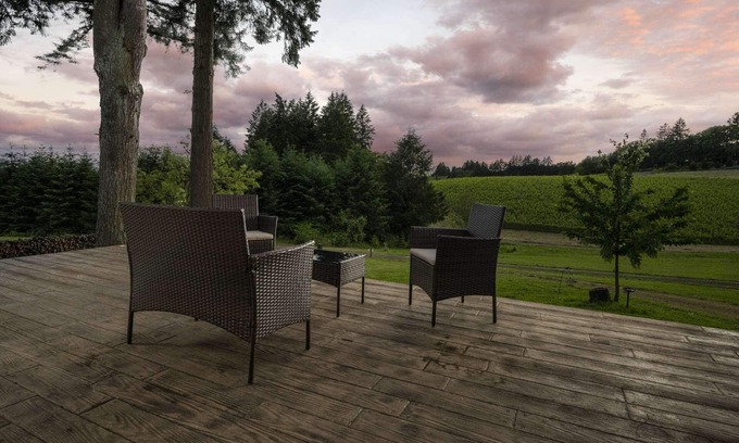 Dayton House | Wine Country Retreat With Vineyard Views, Huge Patio, Free Tastings, Gazebo, BBQ, Plush Furniture