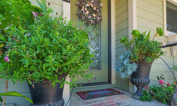 Lodge Hill Cottage | Wine Down Cottage in the Heart of Cambria