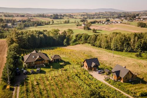 Tarczek House | Winnica Nad Źródłem - Domki w winnicy z kominkami i tężniami