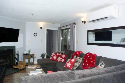 Ghent Apartment | Winterplace Condos - Ski In Ski Out! E101