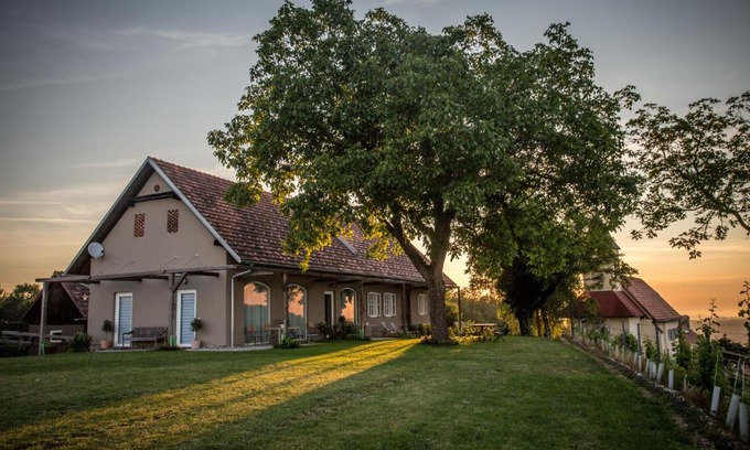 Berghausen House | Winzarei, Weingut Tement