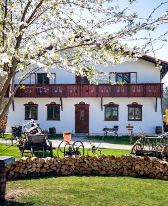 Vulcan Hotel | Wolkendorf Bio Hotel & Spa
