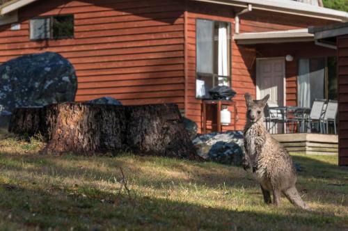 Halls Gap House | Wonderland Cottages
