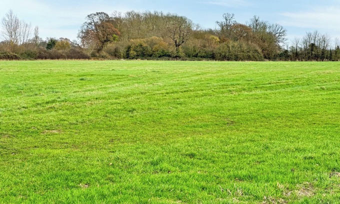 Rochford Cottage | Woodland House - UK48581