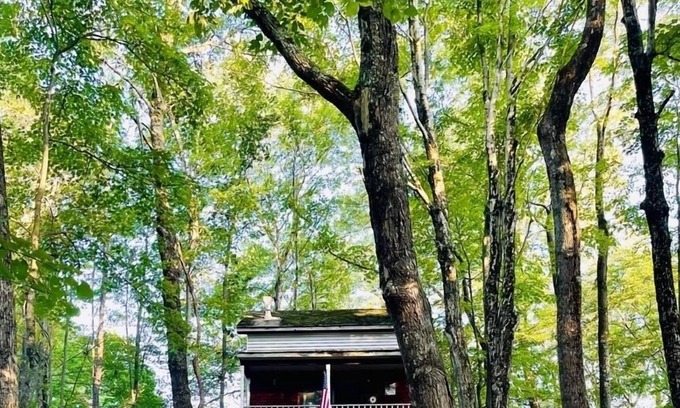 Adrian Cabin | Woody’s Treehouse Hideaway In French Creek,W.Va great deer hunting