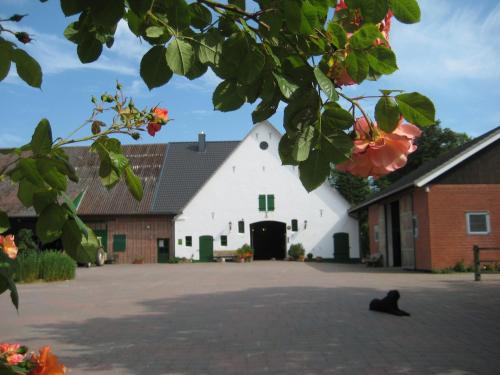 Cappel Apartment | Wrede-Hof