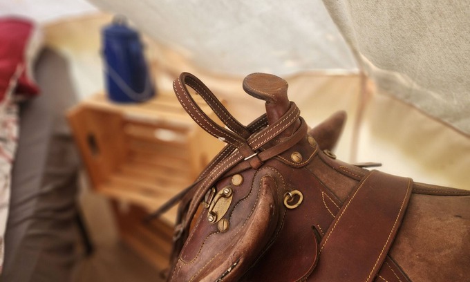 Rosedale Cabin | #Y6 Wild West- 2 Double beds -Pet friendly, Wild West Yurt 2 Double Beds