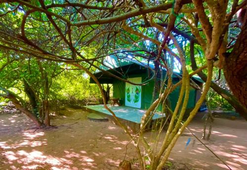 Palatupana Other | Yala Podi Hoona Bush Camp