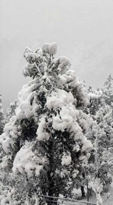 Shimla House | YATIKA HOMESTAY