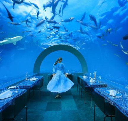 Uthurumaafaru Resort | You & Me Maldives - Adults Only - Premium All-Inclusive